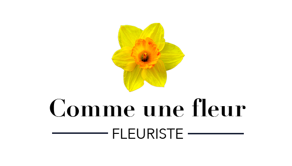 aimbright